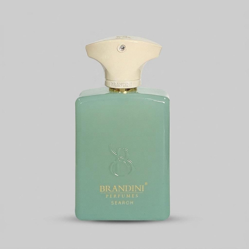 عطر جیبی برندینی مدل Search حجم 33 میلی لیتر