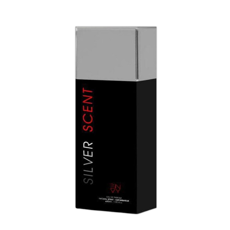 عطر جیبی مردانه ان وی مدل سیلور سنت حجم 30 میلی لیتر